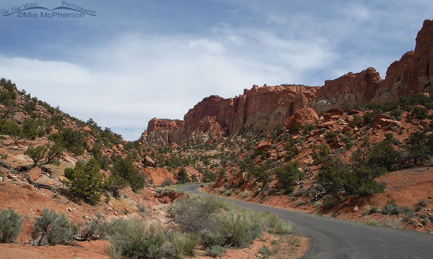 Burr Trail winding road, Wayne County, Utah