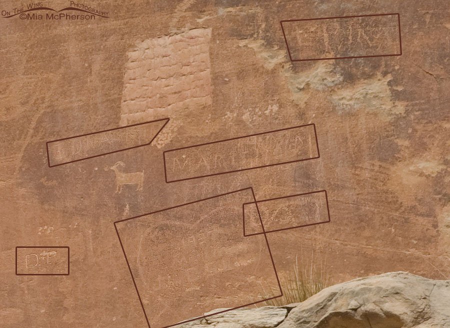 Defaced Capitol Reef Anthropomorphs Petroglyphs, Wayne County, Utah