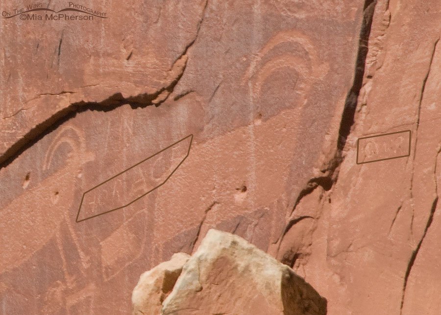 Defacement of the Capitol Reef Sheep Petroglyph, Wayne County, Utah