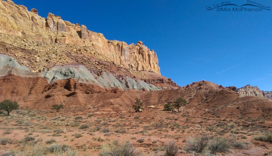 Journey to Capitol Reef National Park in 2015, Wayne County, Utah