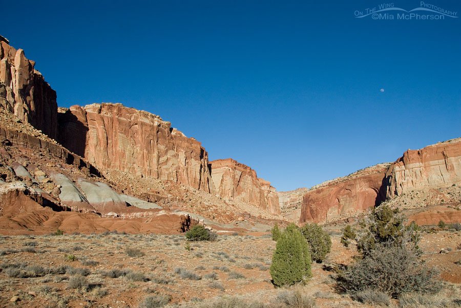 Capitol Reef in March 2014, Capitol Reef National Park, Wayne County, Utah