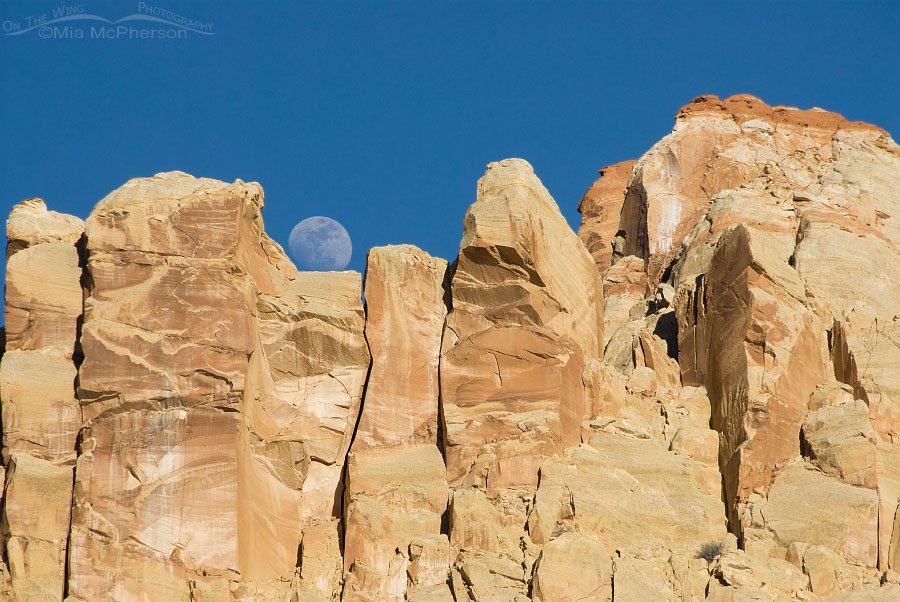 Moon rise over Capitol Reef National Park, Wayne County, Utah