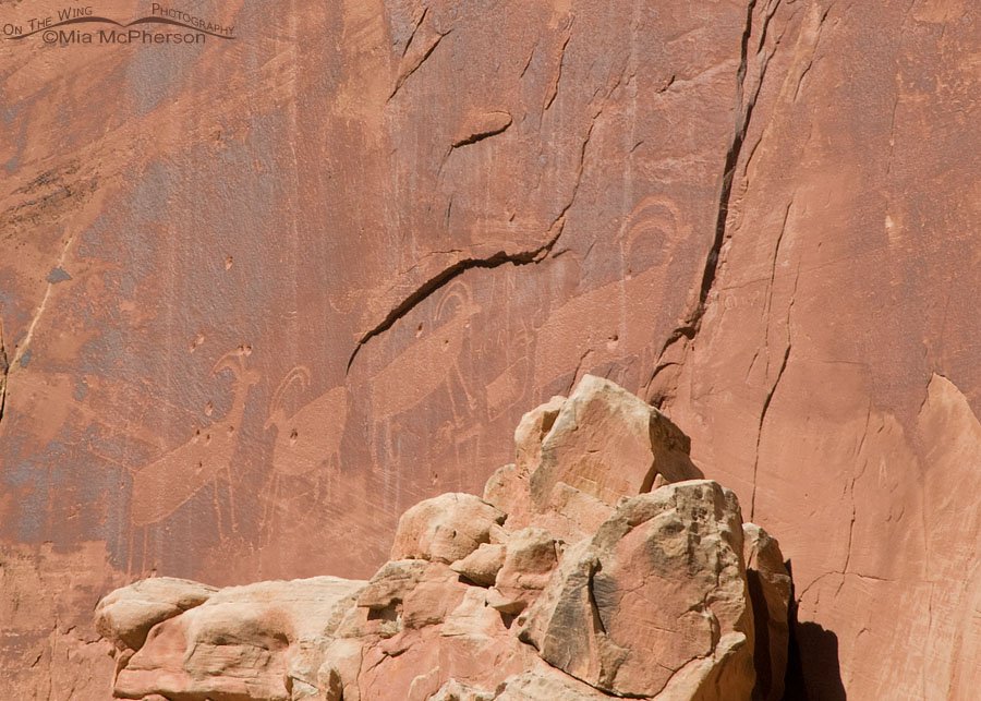 Capitol Reef Sheep Petroglyph, Capitol Reef National Park, Wayne County, Utah