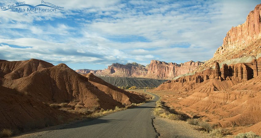 Road through Capitol Reef National Park, Wayne County, Utah