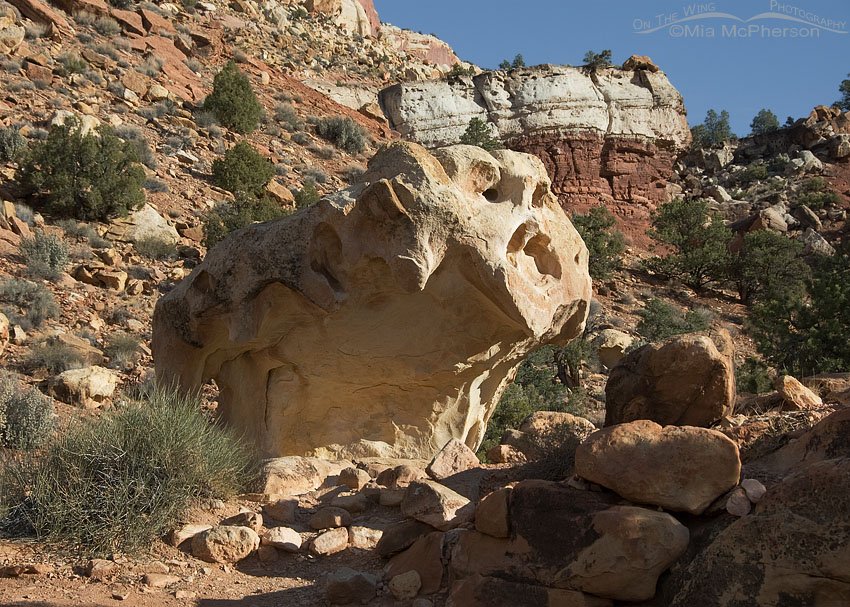 Capitol Reef National Park rock formation, Wayne County, Utah