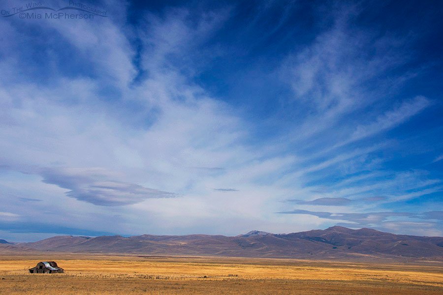 Old Barn in the Centennial Valley, Beaverhead County, Montana