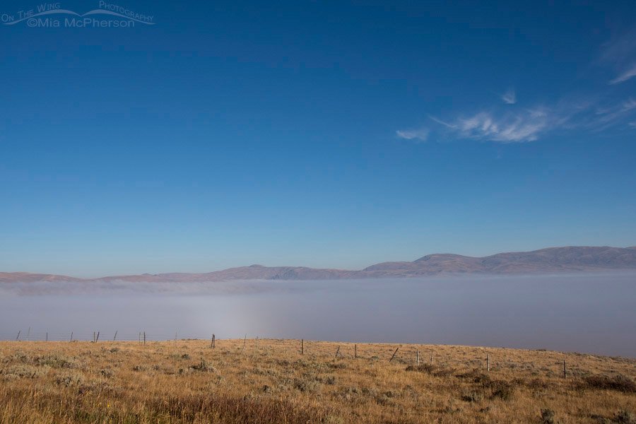 Foggy Centennial Valley from Monida Pass, Centennial Valley, Beaverhead County, Montana