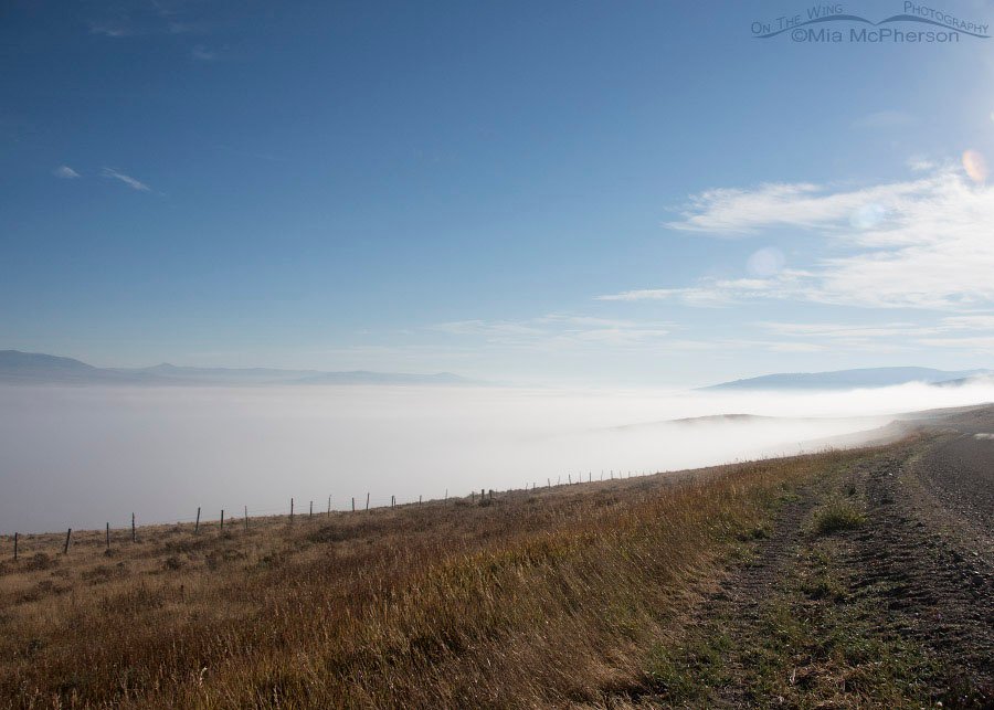 Centennial Valley completely filled with fog, Beaverhead County, Montana