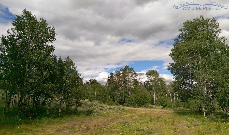 Clark County, Idaho - Campsite on Public Lands