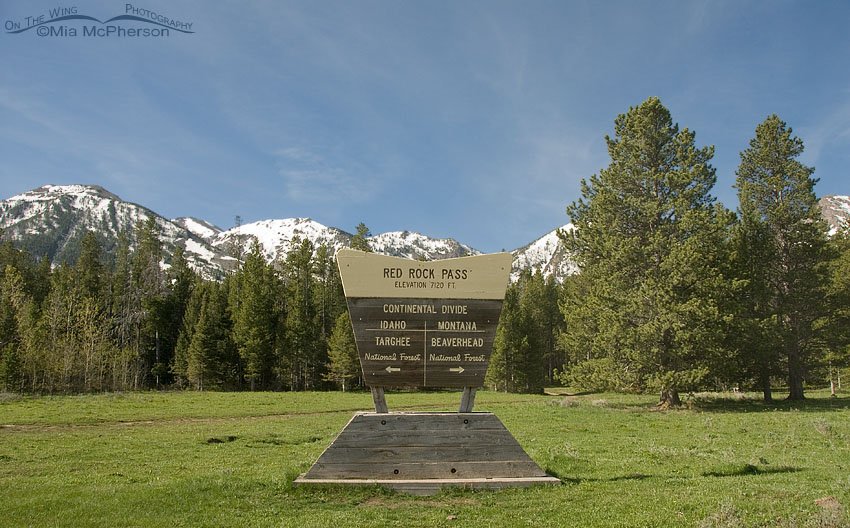 Continental Divide - Red Rock Pass, Beaverhead National Forest, Beaverhead County, Montana or Targhee National Forest, Fremont County, Idaho