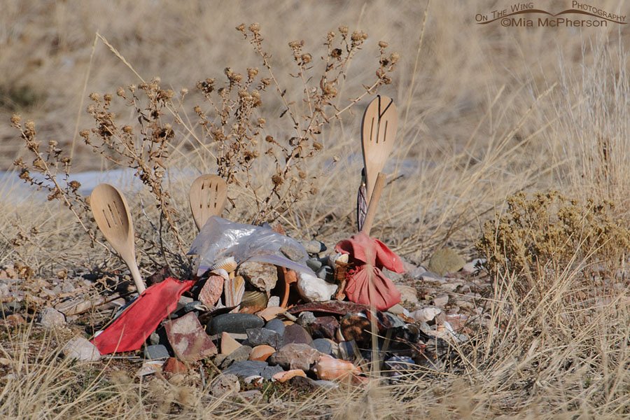 Cook's Memorial? West Desert, Tooele County, Utah