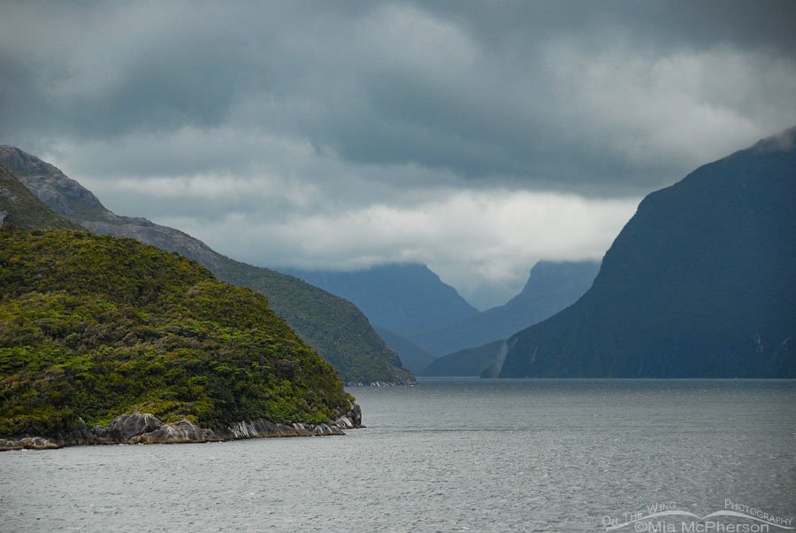 Doubtful Sound under gray skies, New Zealand