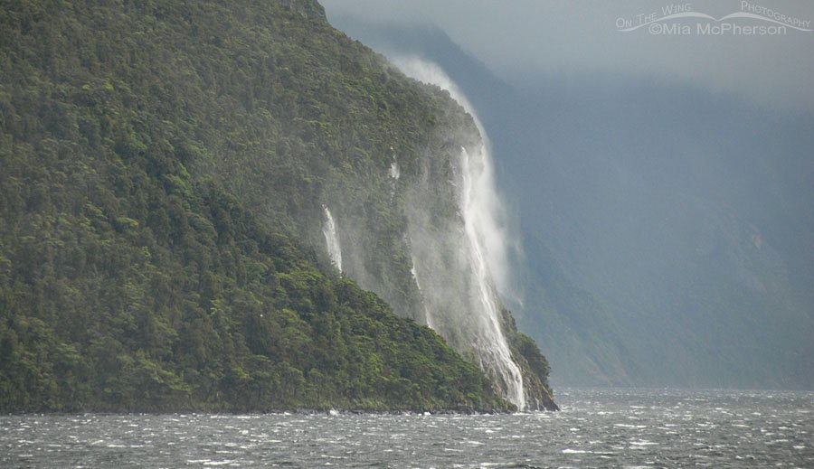 Waterfall in Doubtful Sound, New Zealand