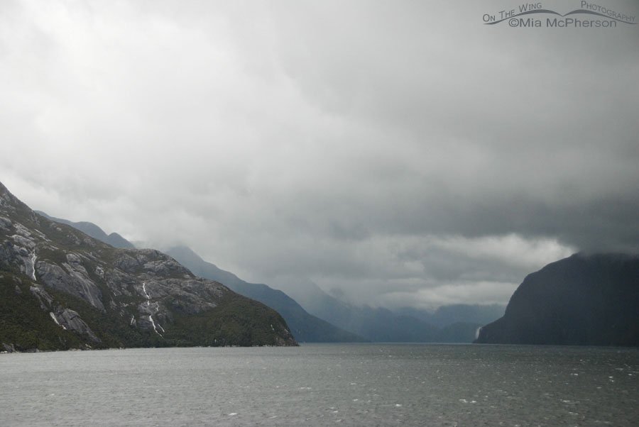Doubtful Sound - New Zealand