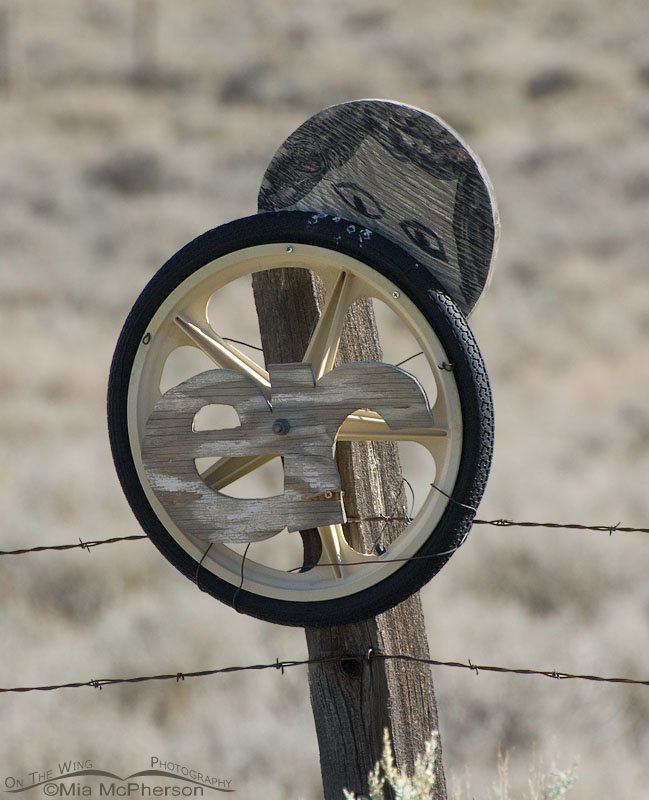 Wheel+ER+Peek, Great Basin National Park, White Pine County, Nevada