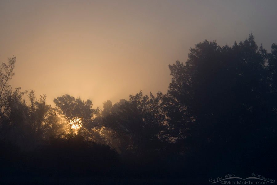 Sea fog sunrise at Fort De Soto County Park, Pinellas County, Florida