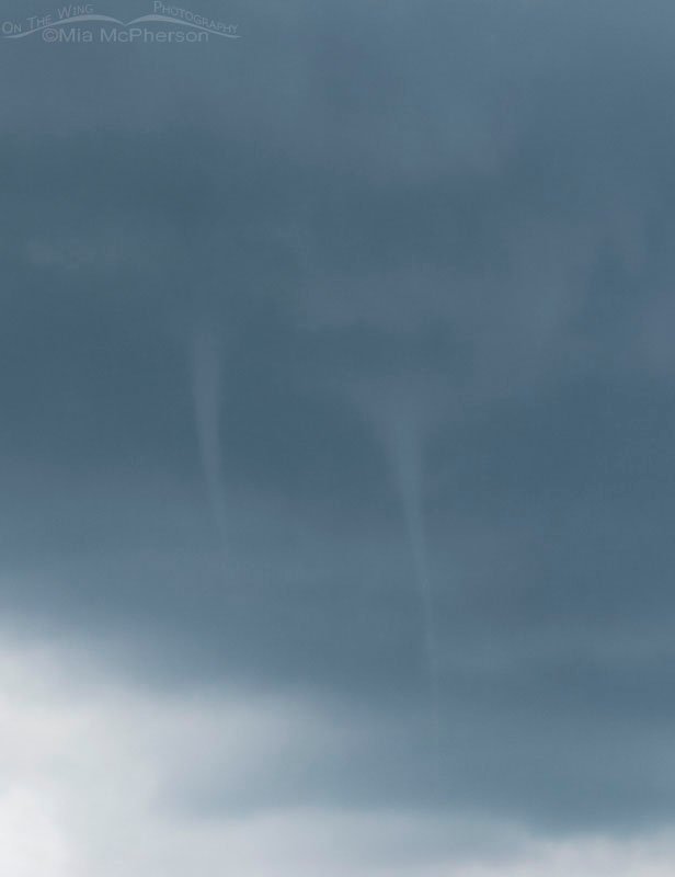 Water spouts seen from Fort De Soto’s north beach, Pinellas County, Florida