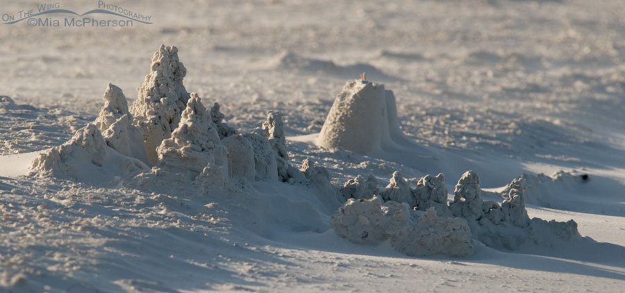 Sand castle on a breezy morning, Fort De Soto County Park, Pinellas County, Florida