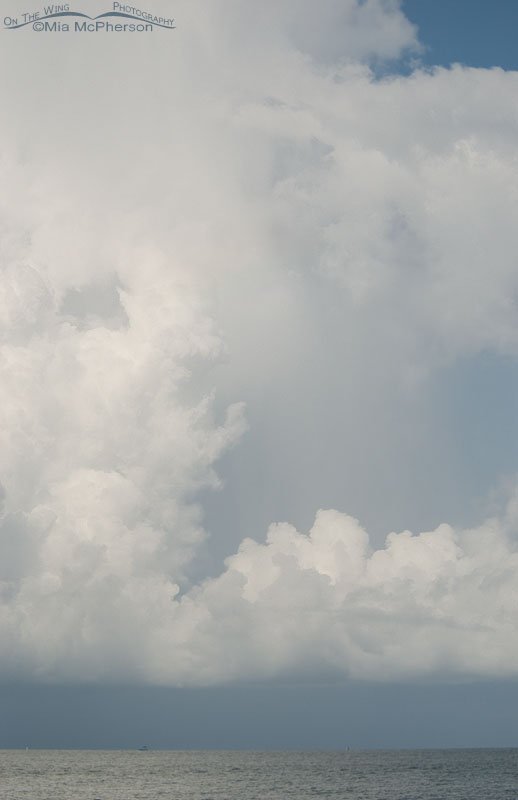 Stormy sky over the Gulf of Mexico in July, Fort De Soto County Park, Pinellas County, Florida