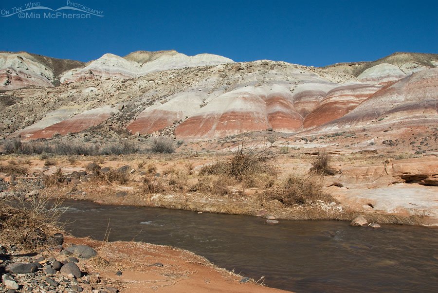 Late winter view of the Fremont River, Capitol Reef National Park, Wayne County, Utah