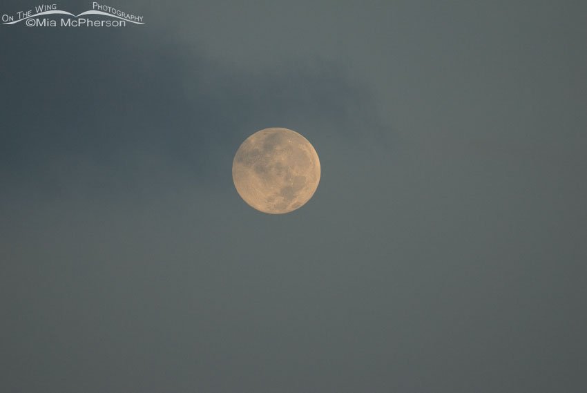 Full moon August 17, 2008 from Fort De Soto’s north beach, Pinellas County, Florida