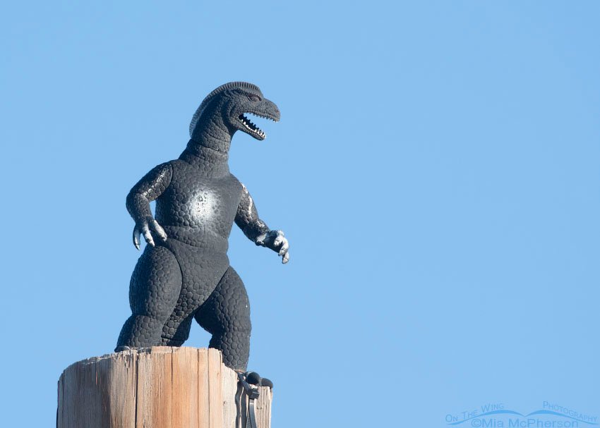 Godzilla reigns over the Salt Lake County Landfill, Salt Lake County, Utah