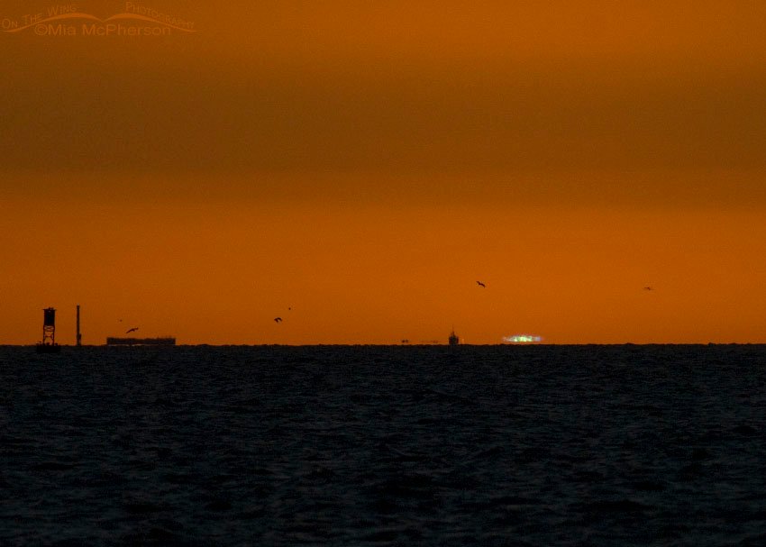 Green Flash over the Gulf of Mexico from Fort De Soto, Pinellas County, Florida
