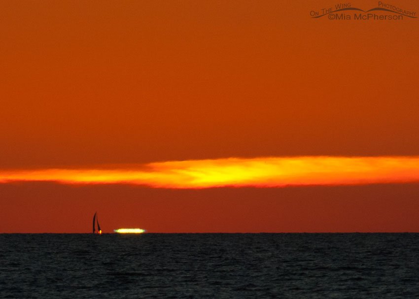Green Flash over the Gulf of Mexico, Fort De Soto County Park, Pinellas County, Florida