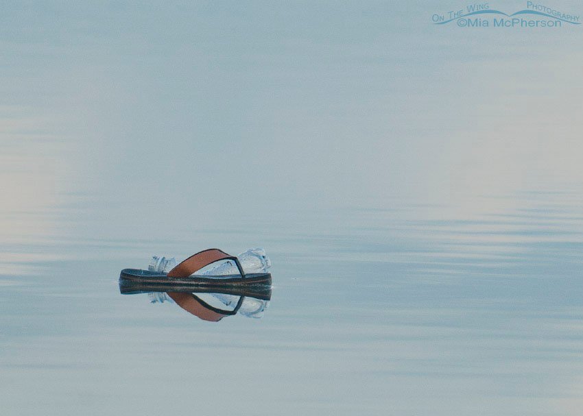 Man's trashy foot print on the Gulf of Mexico, Fort De Soto County Park, Pinellas County, Florida