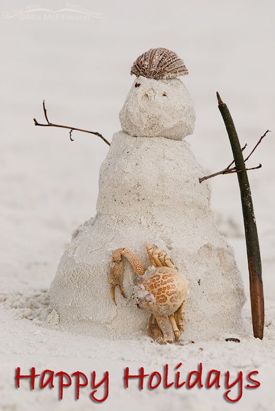 Snow (sand) Man – Florida Style 2008, Fort De Soto County Park, Pinellas County, Florida
