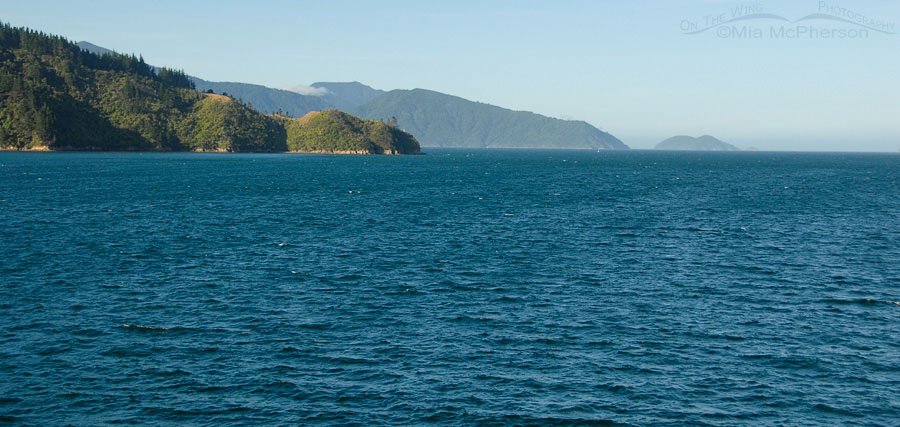 Sailing from Picton, New Zealand