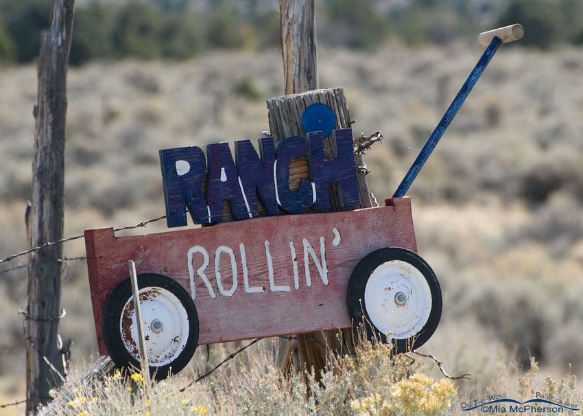 Rollin Ranch, Great Basin National Park, White Pine County, Nevada