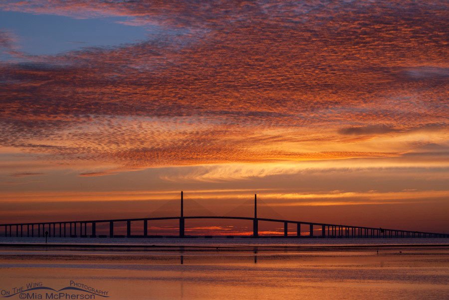 Sunrise Sky Way Bridge, Fort De Soto County Park, Pinellas County, Florida