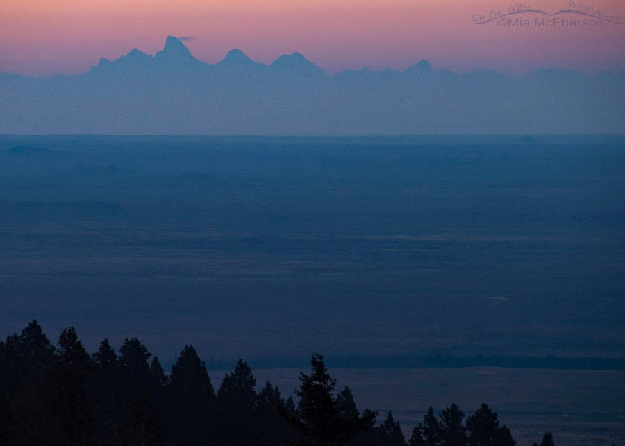 Predawn view of the west side of the Tetons, Clark County, Idaho
