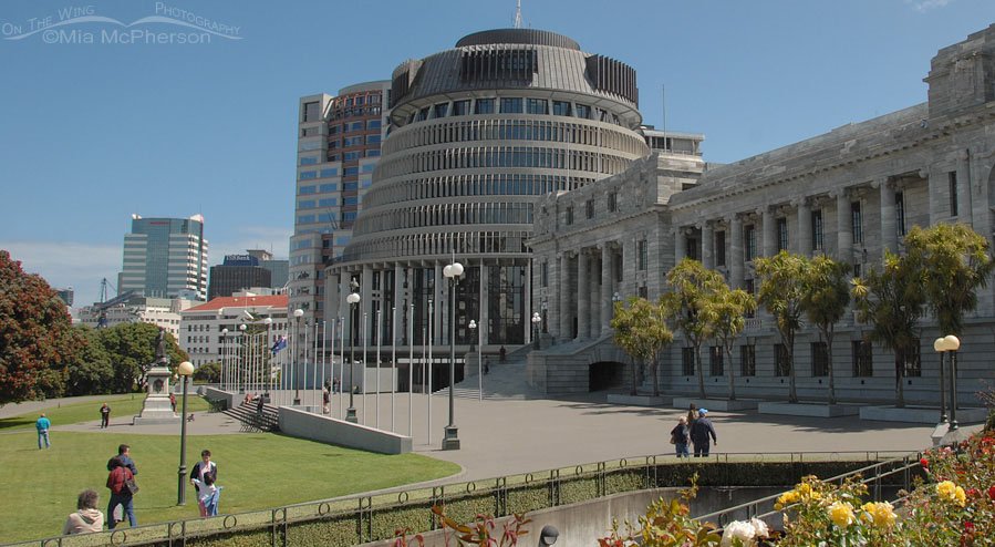 Te Papa or the Beehive is a landmark building in the heart of Wellington, New Zealand