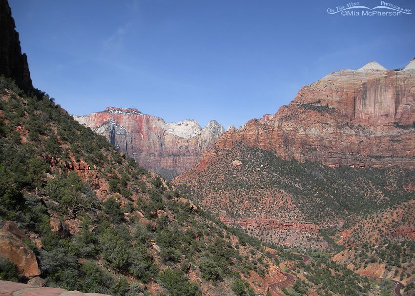 Zion National Park