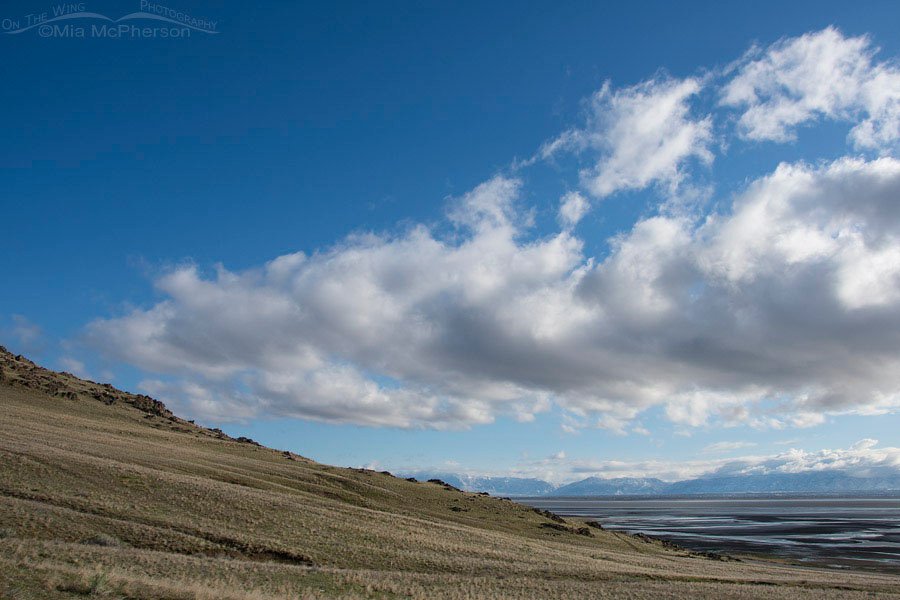 View of the Great Salt Lake with the Wasatch Mountains in the distance, Antelope Island State Park, Davis County, Utah
