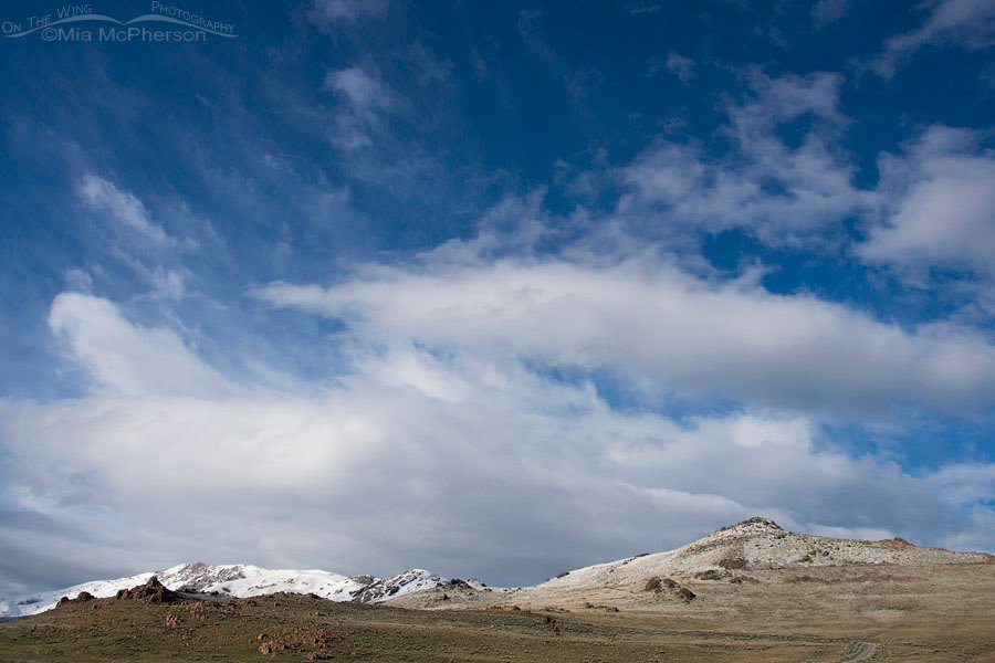 Spring snow on Antelope Island State Park, Davis County, Utah