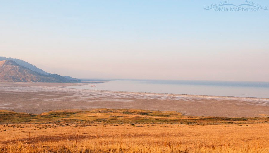 Smoke in the air from Buffalo Point looking towards White Rock Bay, August 21, 2016, Antelope Island State Park, Davis County, Utah