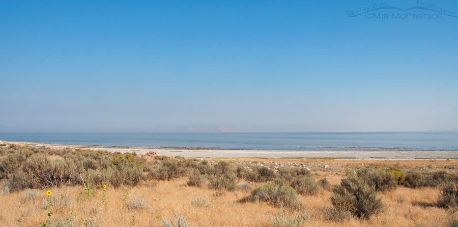 Smokey skies near Ladyfinger Point at 18mm, August 21, 2016, Antelope Island State Park, Davis County, Utah