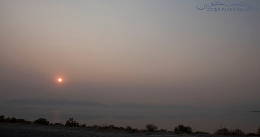 Smoky haze over the Great Salt Lake and Wasatch Mountains, Antelope Island State Park, Davis County, Utah