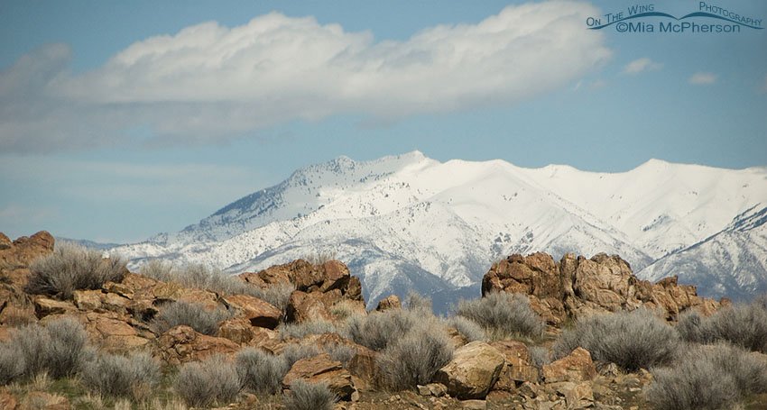 View of snow covered Wasatch Mountains from Frary Peak as seen from Antelope Island State Park, Davis County, Utah
