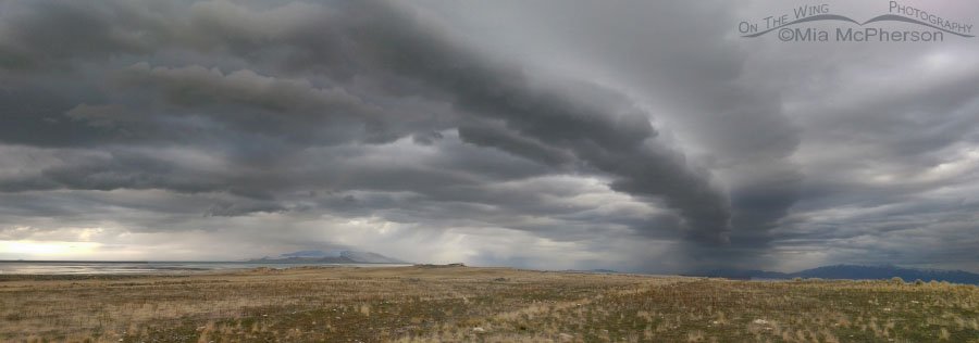 Antelope Island with a storm rolling in, Antelope Island State Park, Davis County, Utah