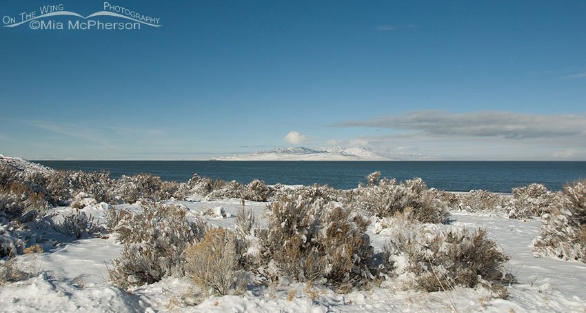View of snow-covered Promontory Point from Egg Island Overlook, Antelope Island State Park, Davis County, Utah
