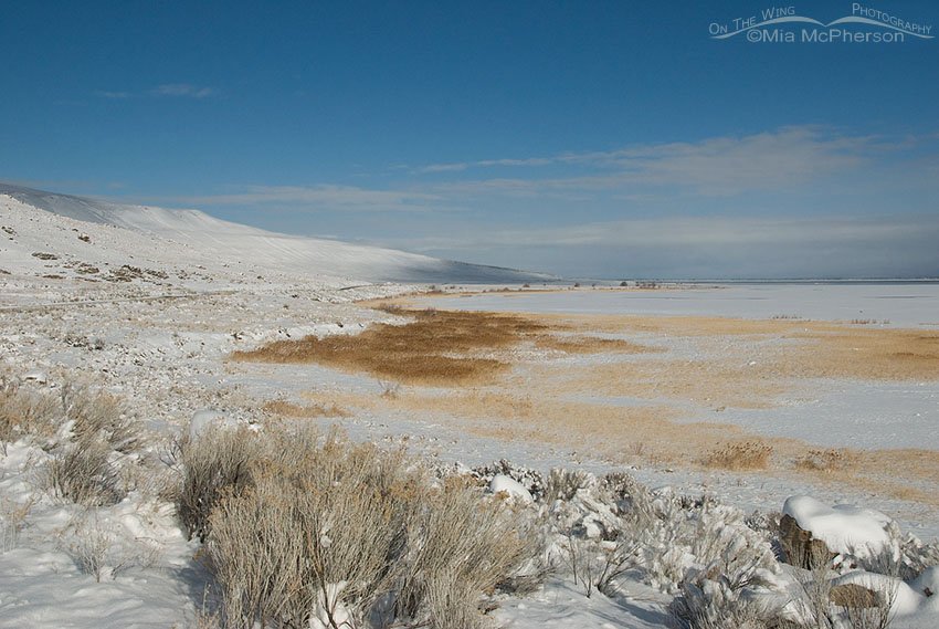 Antelope Island snow, Antelope Island State Park, Davis County, Utah