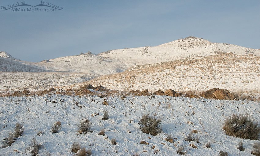 Antelope Island after a fresh snow, Antelope Island State Park, Davis County, Utah