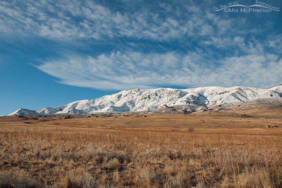 Snow on Antelope Island, northern Utah