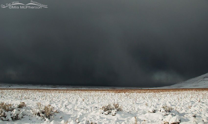 Snow storm approaching Antelope Island State Park in Davis County, Utah