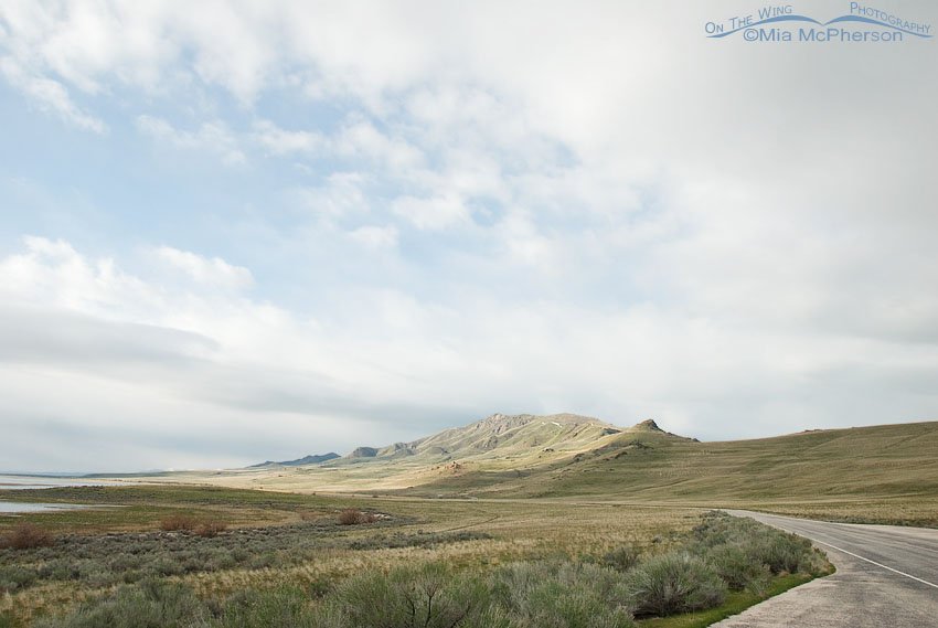 Springtime view of Frary's Peak, Antelope Island State Park, Davis County, Utah