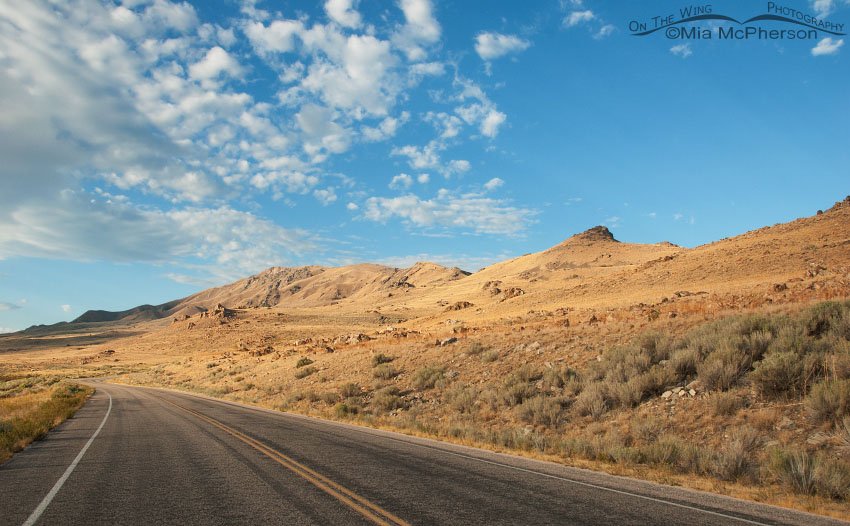 End of summer view of Frary Peak, Antelope Island State Park, Davis County, Utah